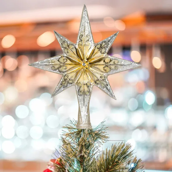 Christopher Radko Ornaments 2026 | Glass Christmas Ornaments | The Jolly  Christmas Shop