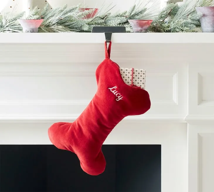 Classic Velvet Bone Pet Stocking: Pottery Barn | Apartment Therapy