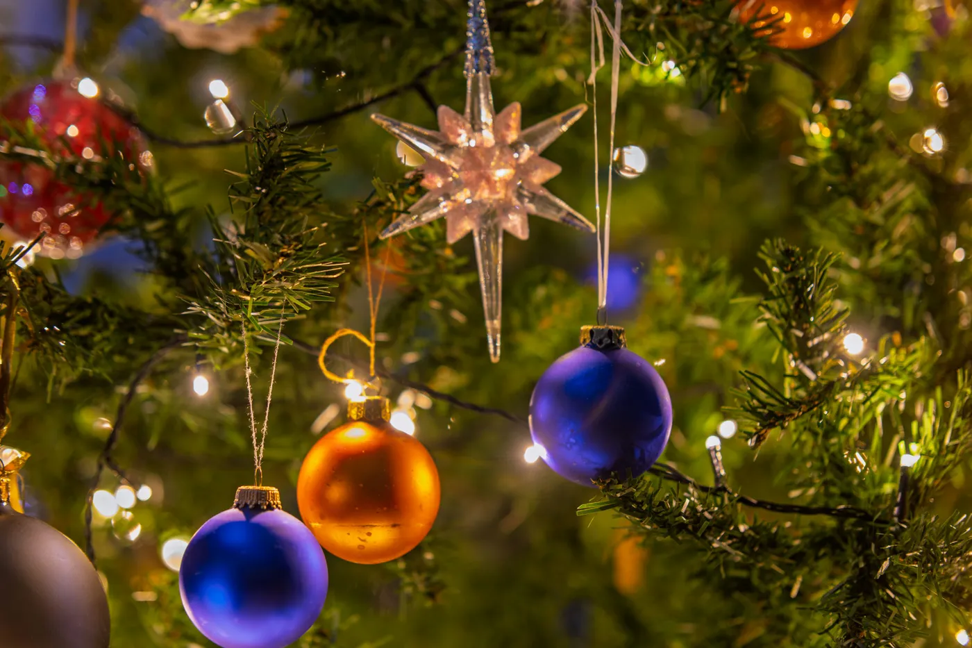 Close-up of a decorated christmas tree with ornaments - Free Photo on  Unsplash
