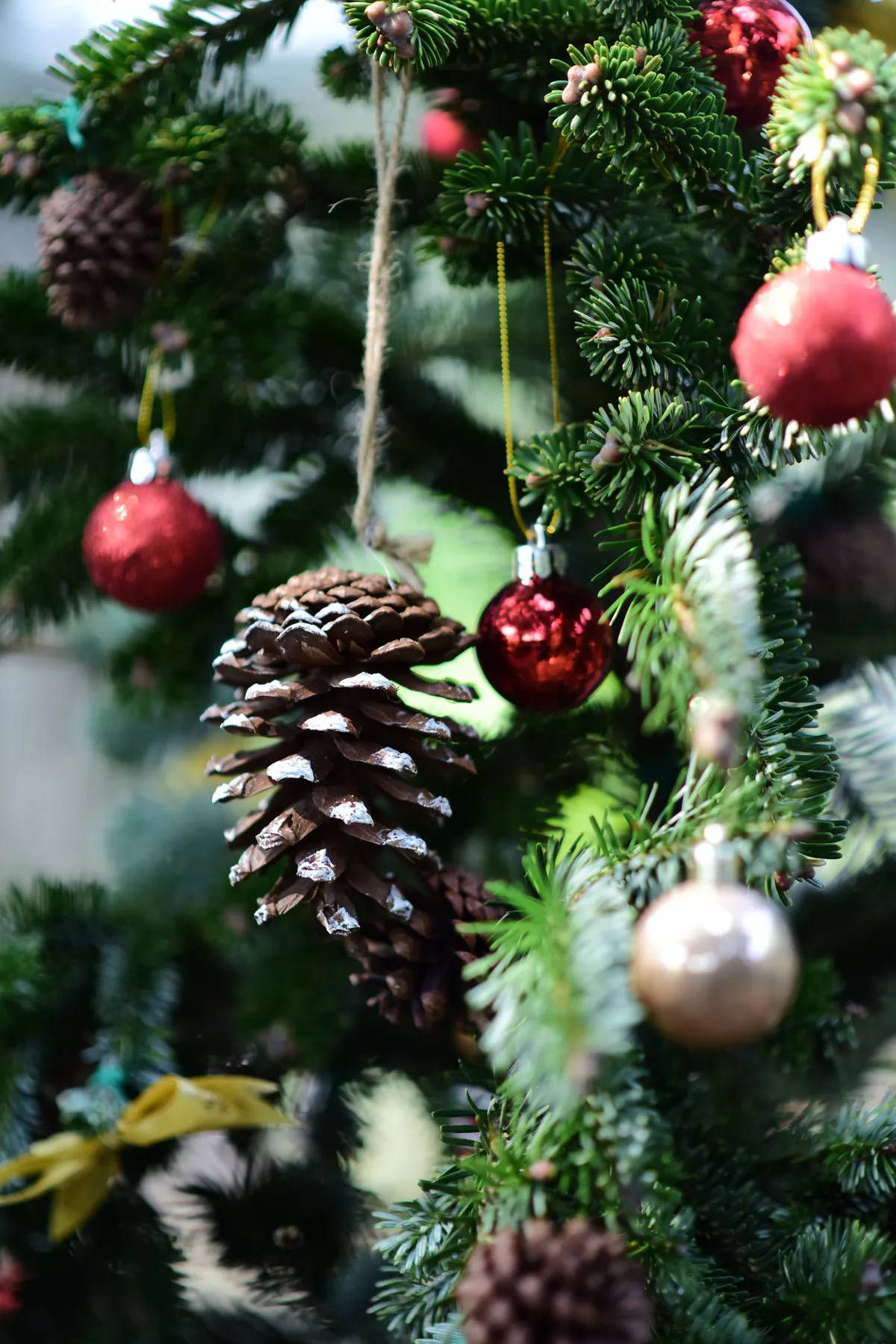 Close-up of a festive Christmas tree adorned with pine cones and red ornaments.