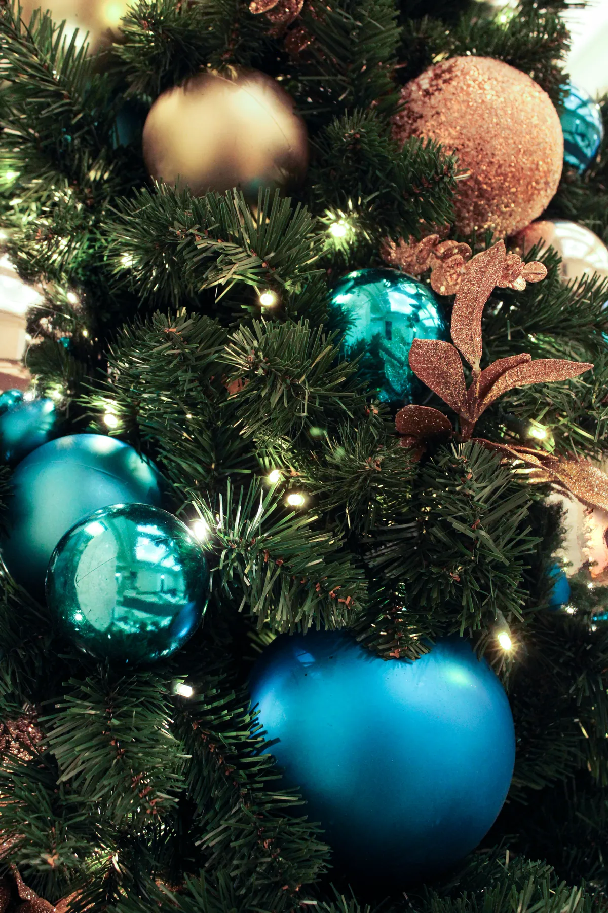 Close up phot of a christmas tree Photographed by Norval Glover