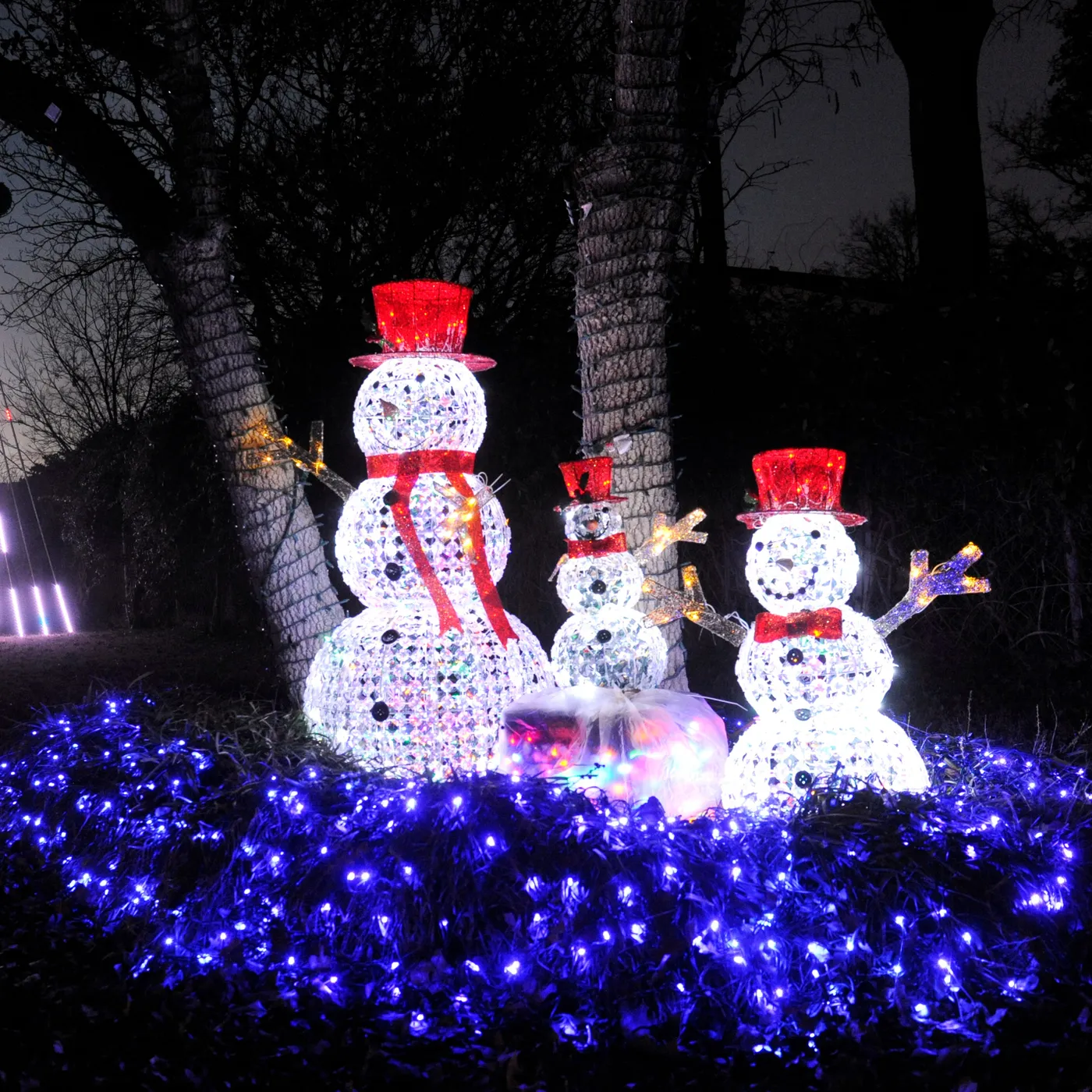 Clyde Christmas lights are a new family tradition
