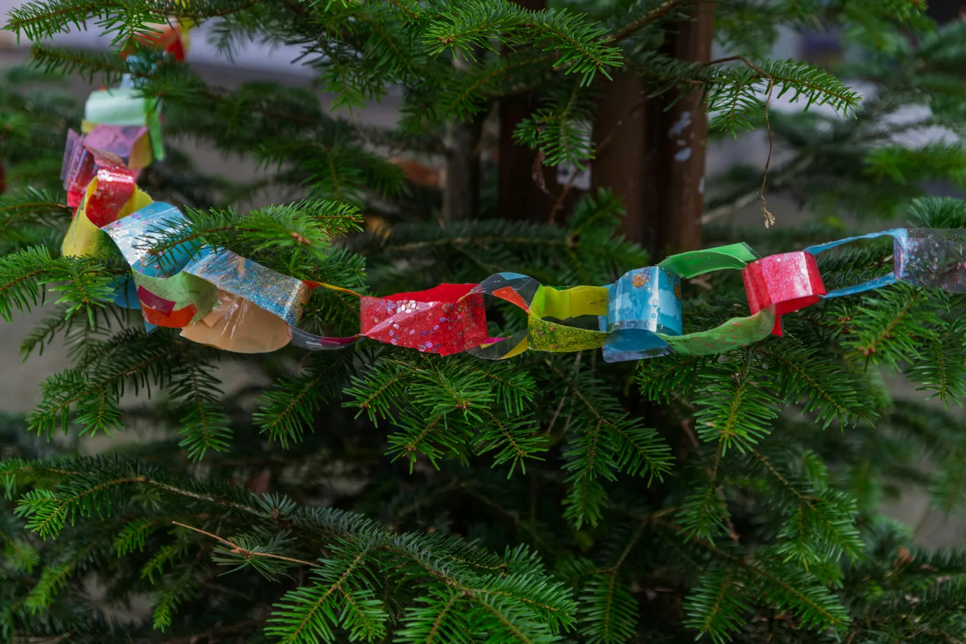 Colorful paper chain garland on evergreen branches