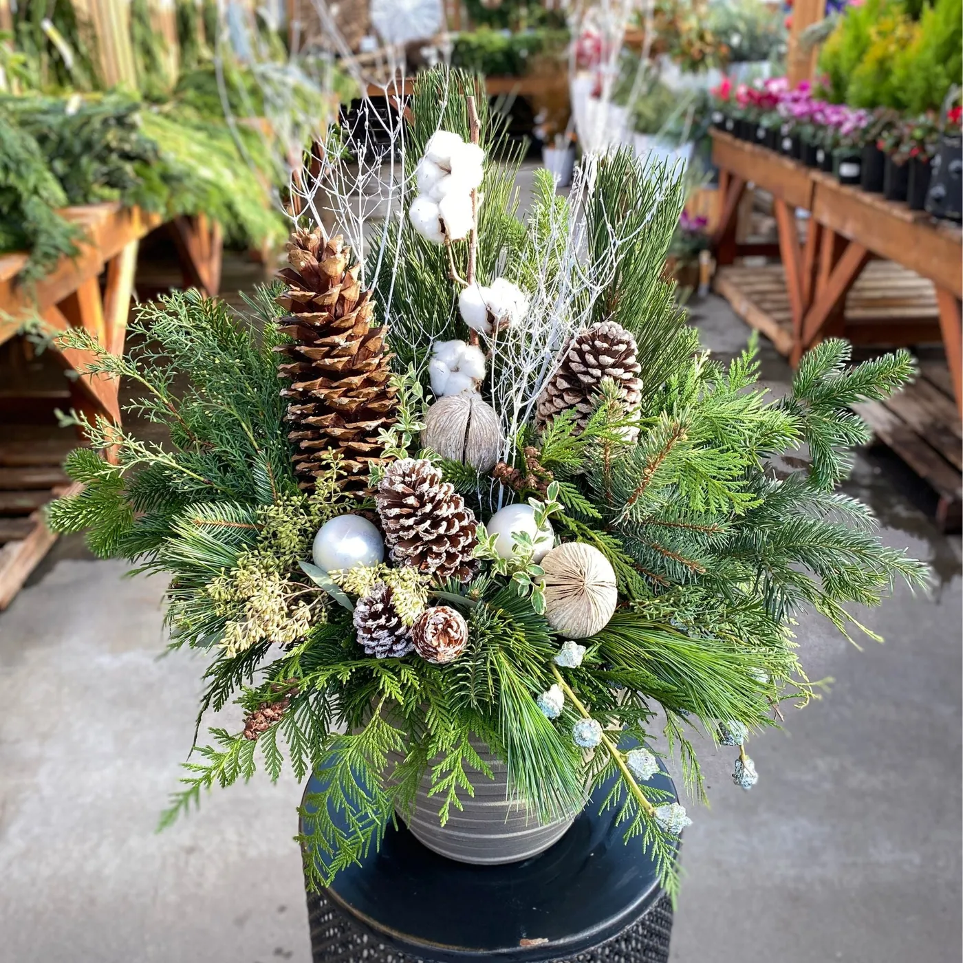 Create a Fresh and Festive Holiday Porch Pot - November 12 (6:30PM) –  Amsterdam Garden Centre
