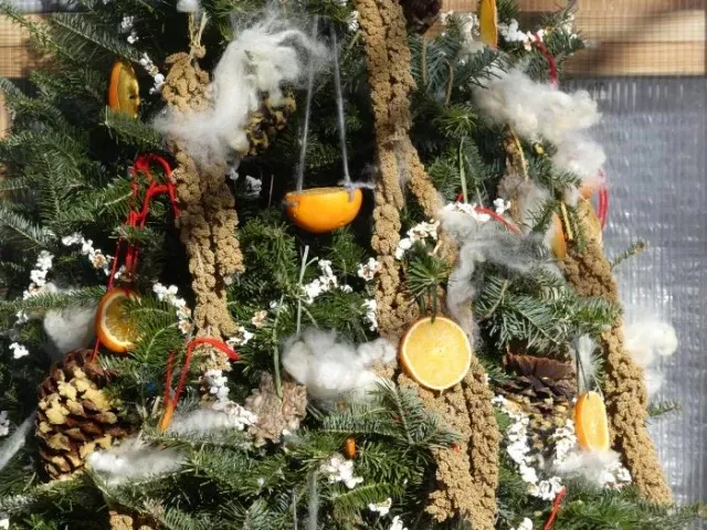 Creative Christmas Tree Recycling for the Birds - Manor Tree Service