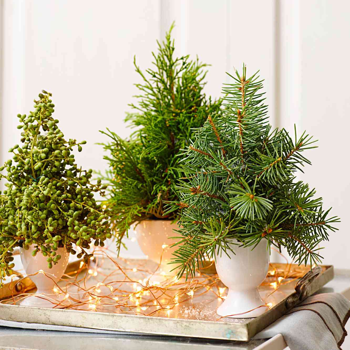 Decorate with Tiny Christmas Trees