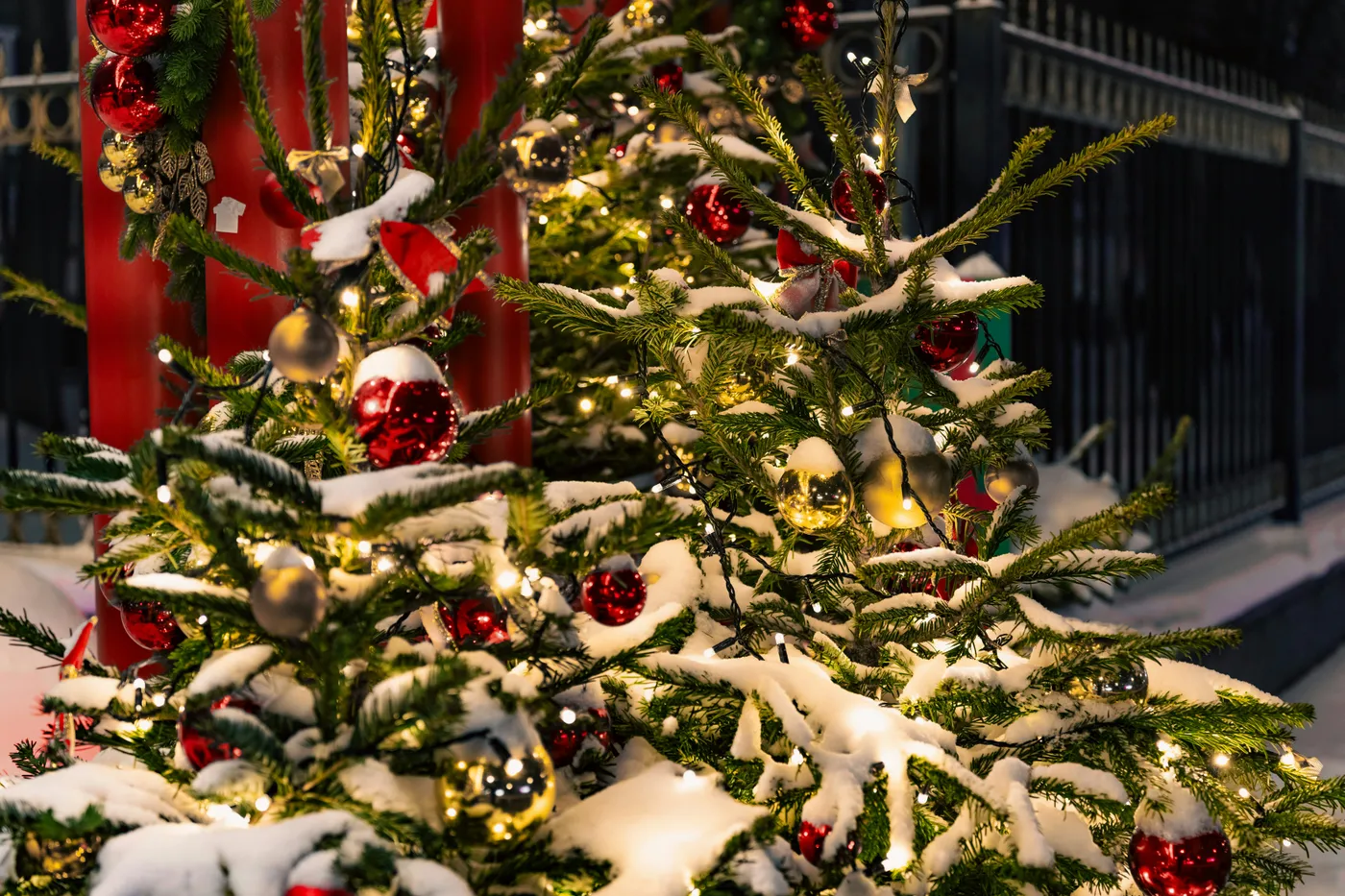 Decorated christmas tree with snow and lights