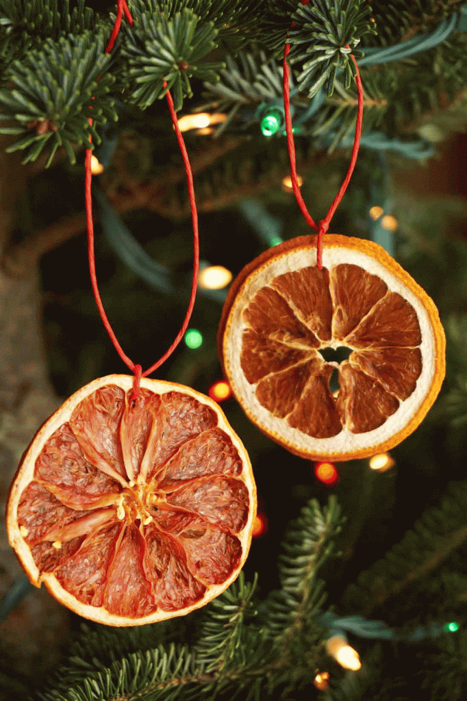 Dehydrated Citrus Garland Dried Orange Garland Wholehearted Eats