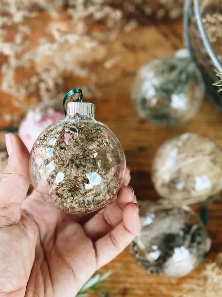 Diy Clear Ornaments Make Your Own Nature-Inspired Christmas Tree Ornaments