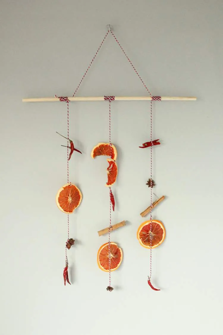 DIY dried fruit hanging | DIY Autumn Decoration | The Crafty Gentleman