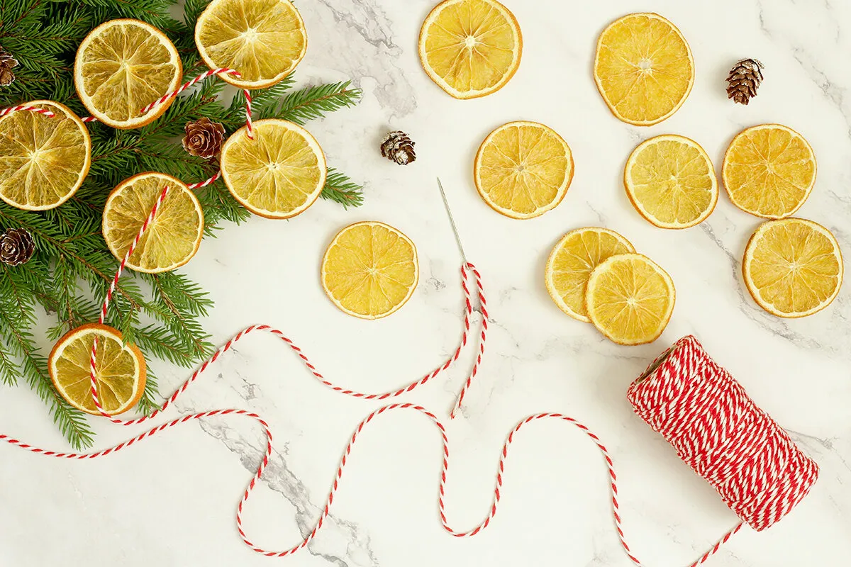 DIY: Dried Orange Garland — Boise Co-op Market