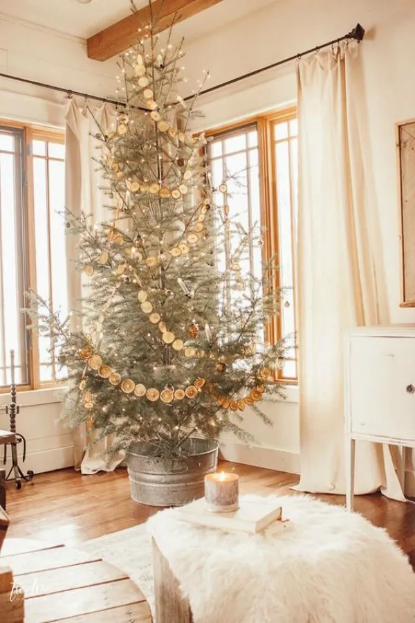 D.I.Y Dried Orange Garland | WholeLife
