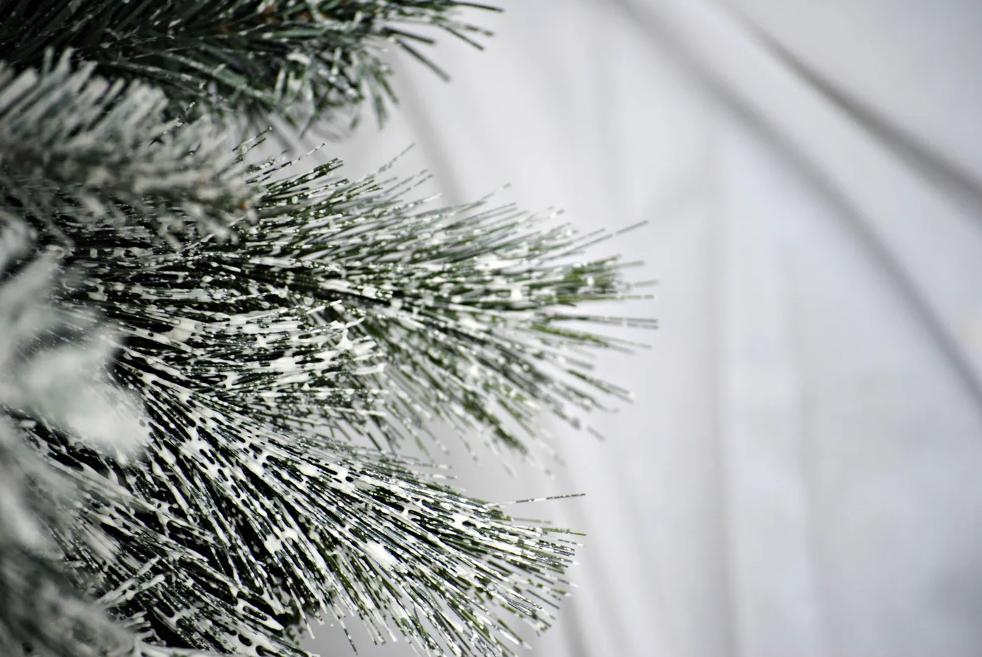 DIY: Flocked Christmas Tree |