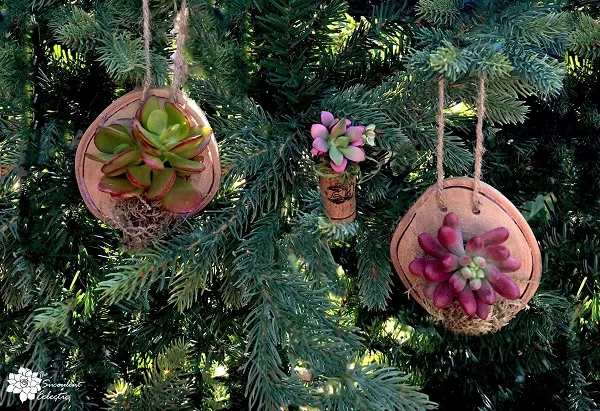 DIY Wood Slice Ornaments with Succulents! | The Succulent Eclectic