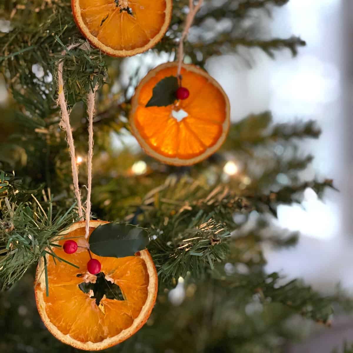 Dried Orange Peel Christmas Ornaments Orange Dried Orange Peel Stars Mud  Bloom