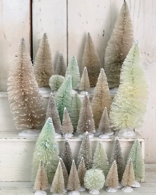 Dying Bottle Brush Trees - MY WEATHERED HOME