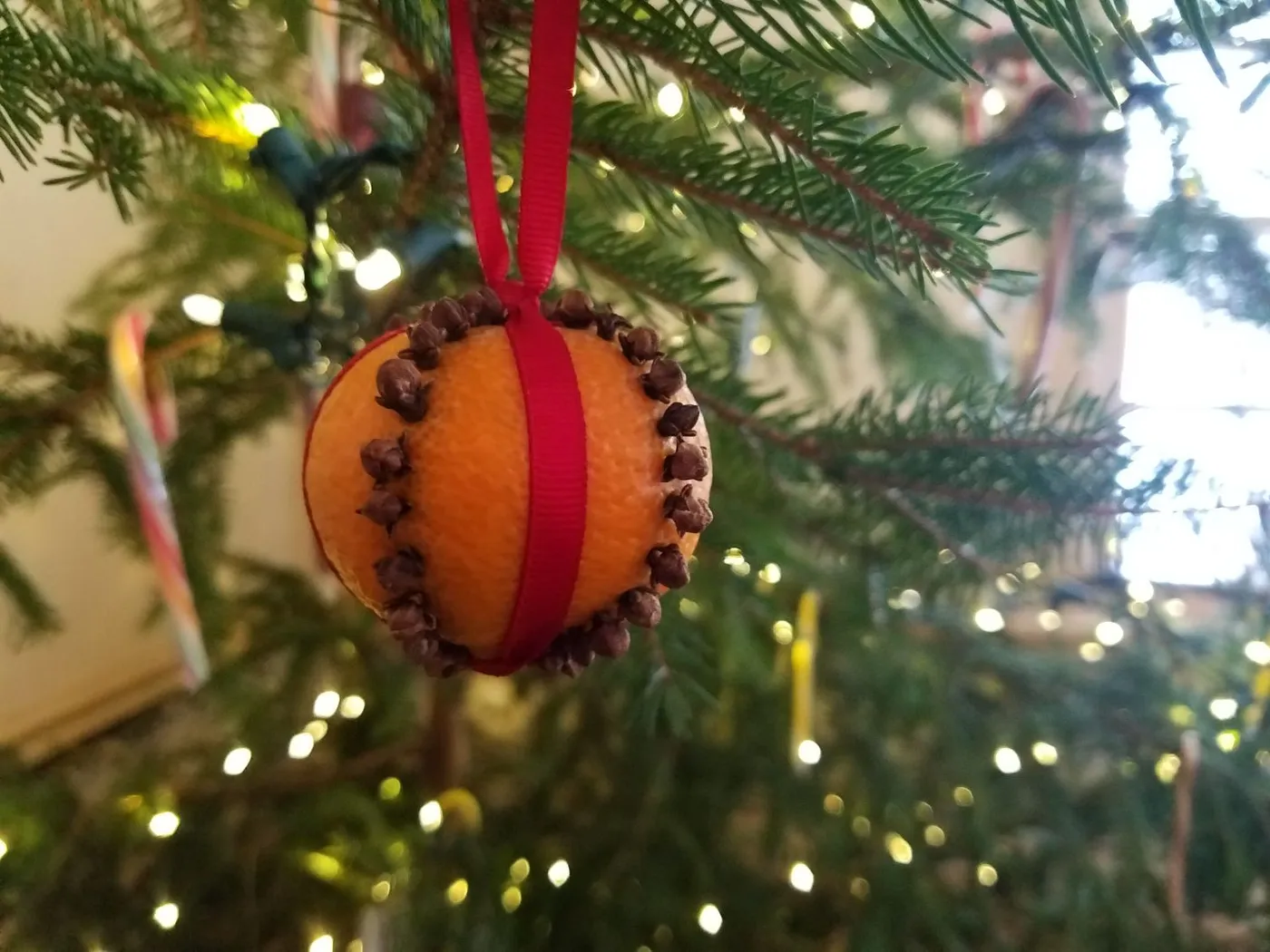 Edible Ornaments: A New Tradition