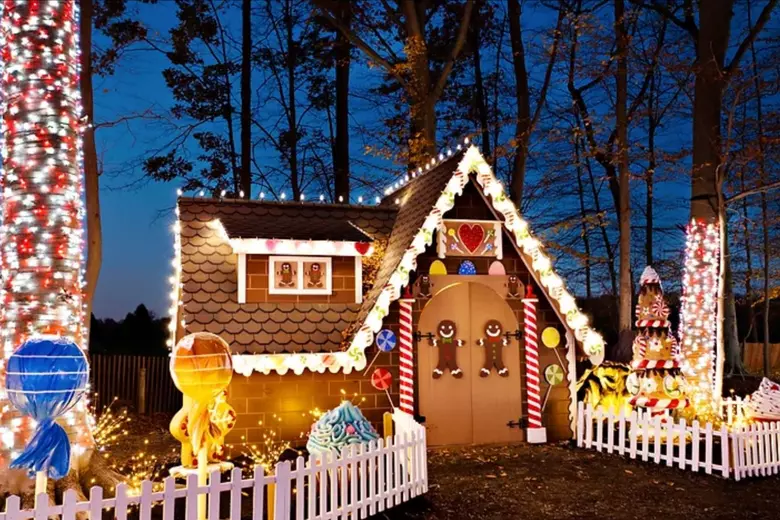 Experience the magic of Anne Ellen Christmas Tree Farm in NJ