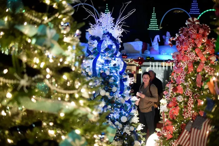 Fantasy of Trees in downtown Knoxville photos