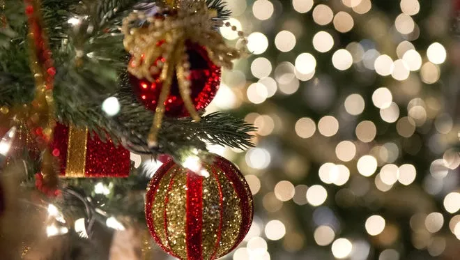 Fantasy of Trees shines at Knoxville Convention Center