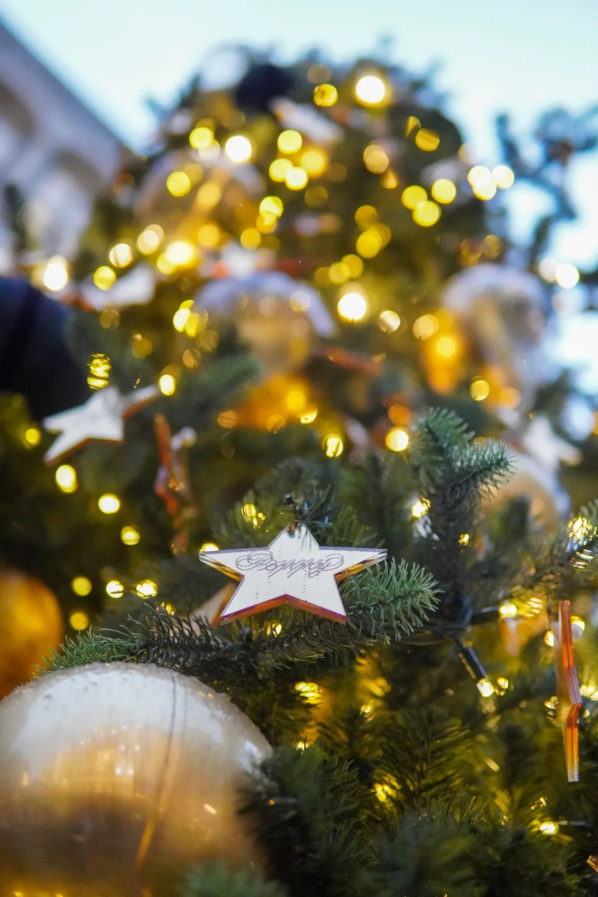 Festive Christmas Tree with Glowing Lights · Free Stock Photo