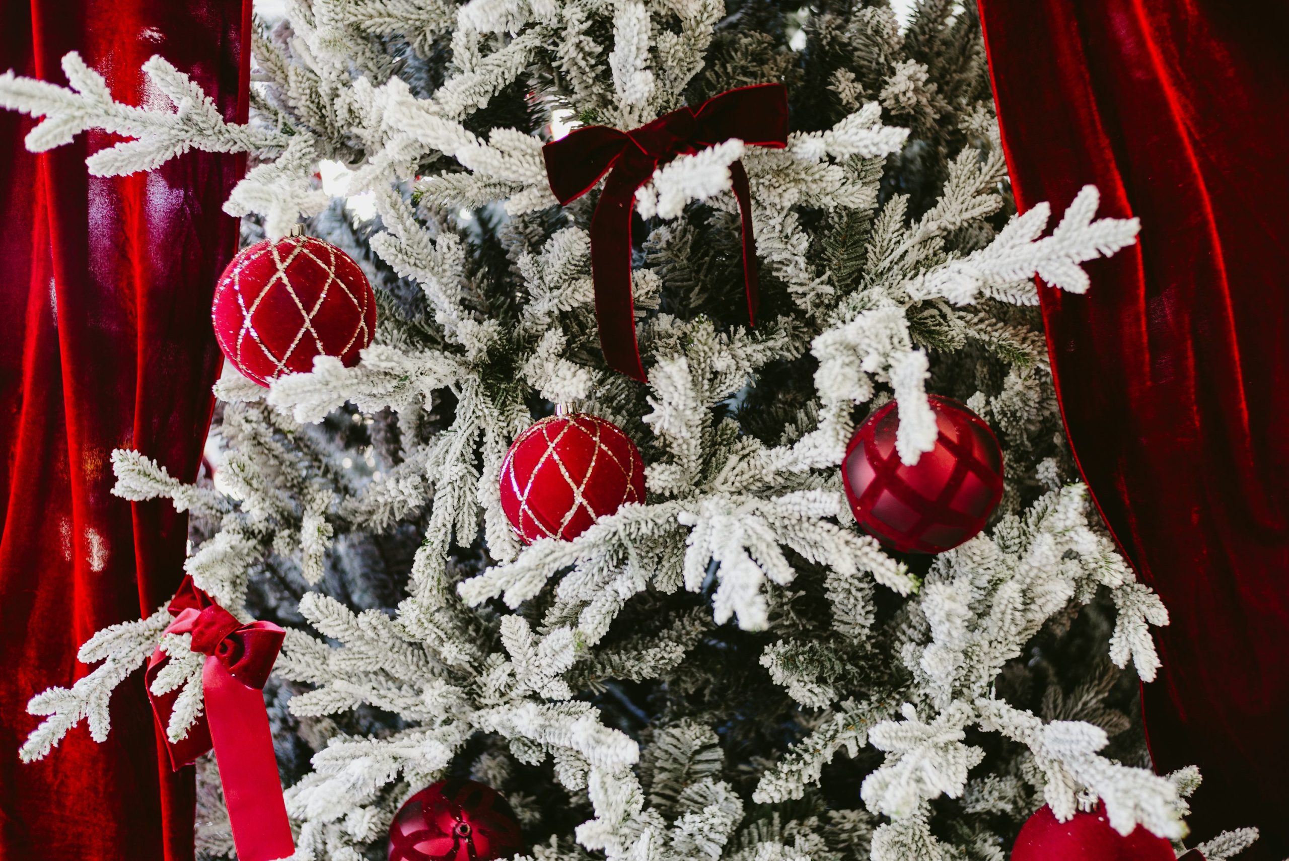 Flocked christmas tree with red ornaments and velvet ribbon - Free Photo on  Unsplash