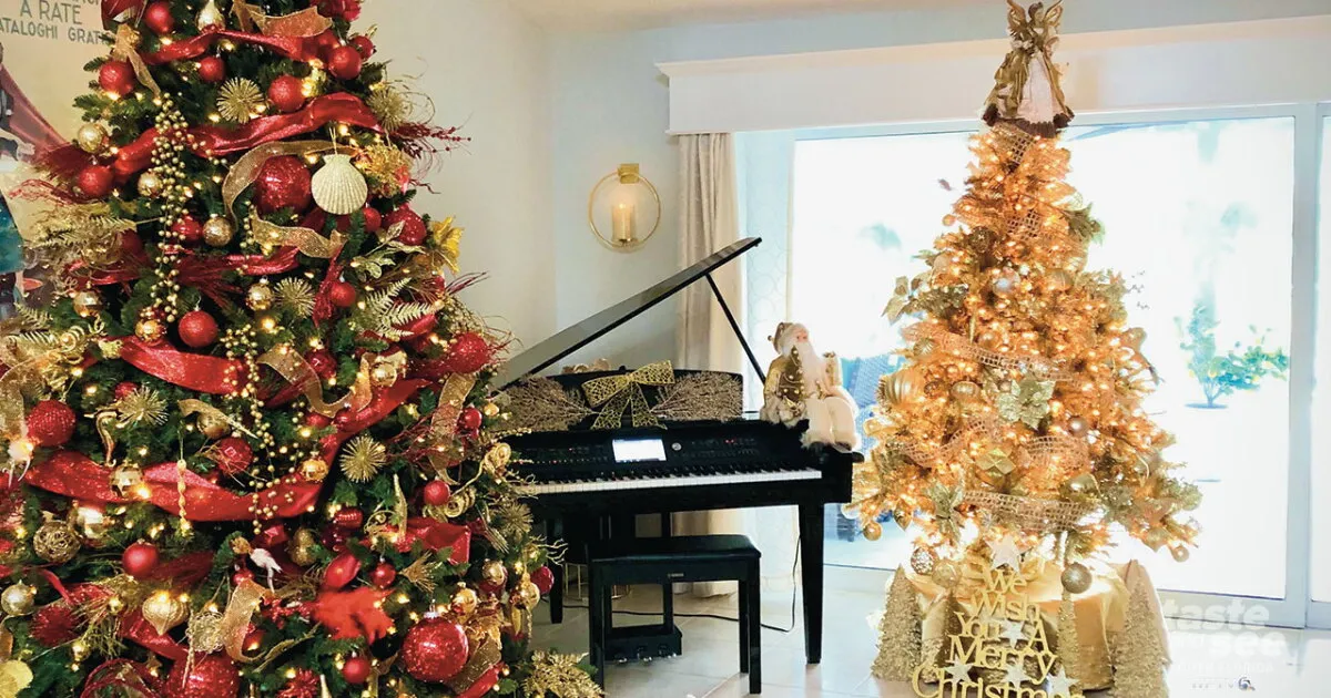 Florida woman decorates home with over 20 Christmas trees