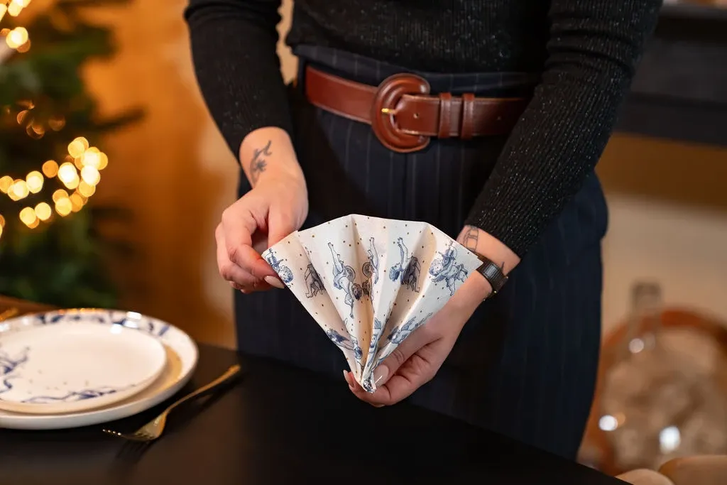 Folding napkins as table decoration
