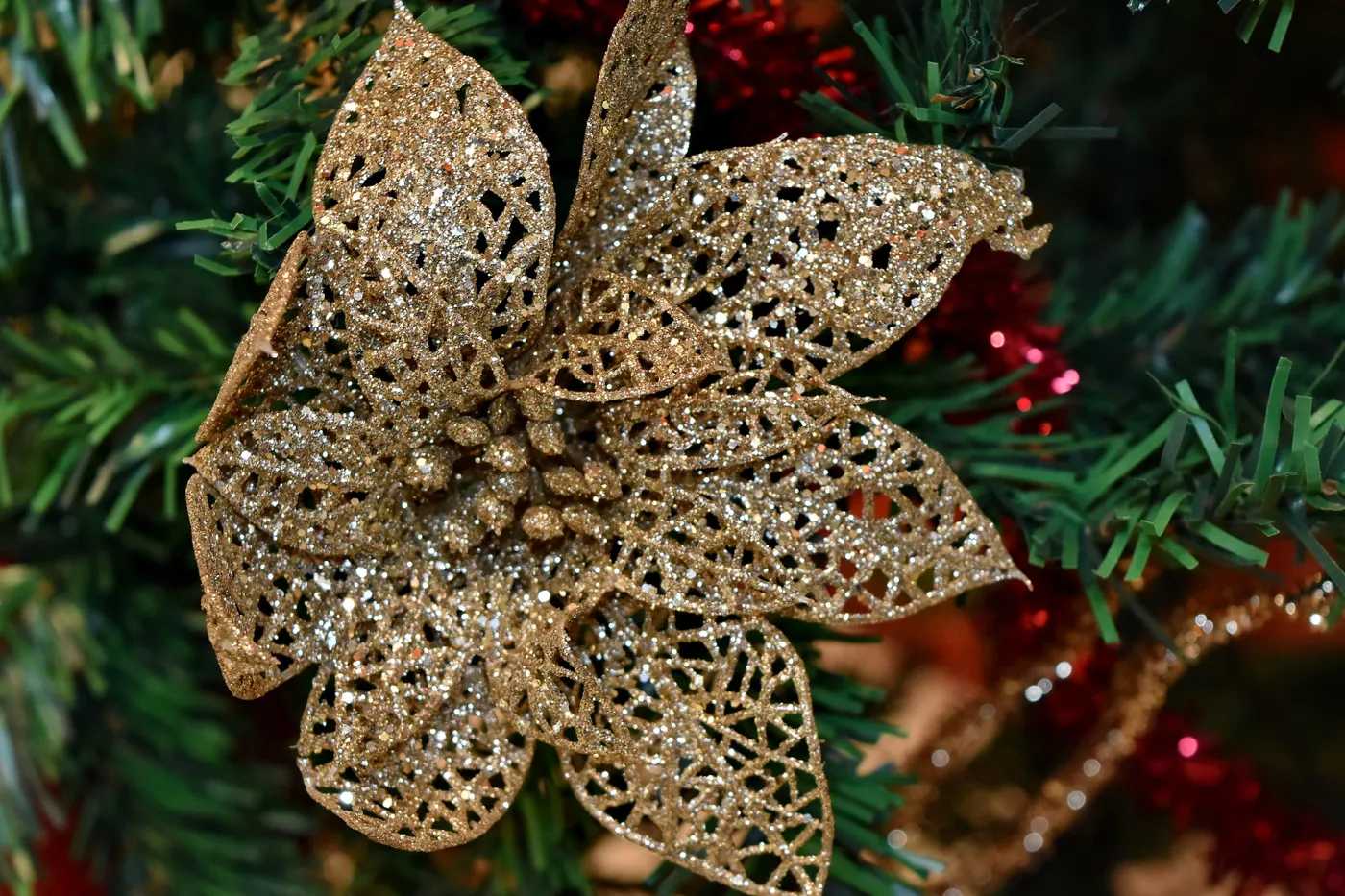 Free picture: christmas, christmas tree, colorful, decoration, golden glow, shining, winter, tree, nature, cone
