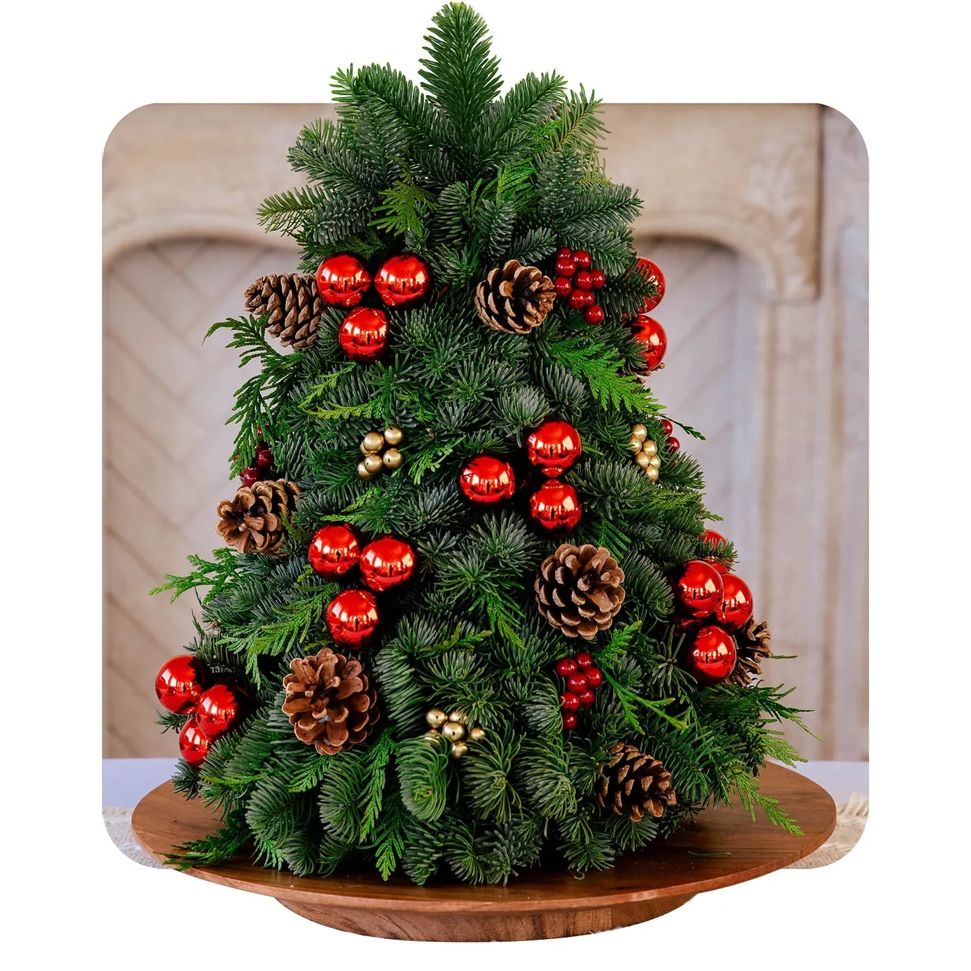 Fresh Christmas Tabletop Trees – Wild Greens International