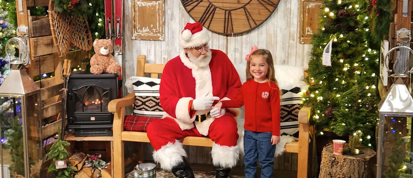 Fresh-Cut and Artificial Christmas Trees, Christmas Decorations and Holiday  Supplies – Down to Earth Living - Garden Center, Plant Nursery, Outdoor and  Patio Furniture, and Christmas Store