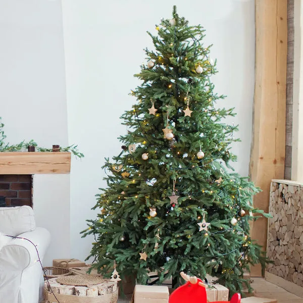 Fresh Cut Christmas Tree Delivered - Fraser Fir | PlantingTree -  PlantingTree