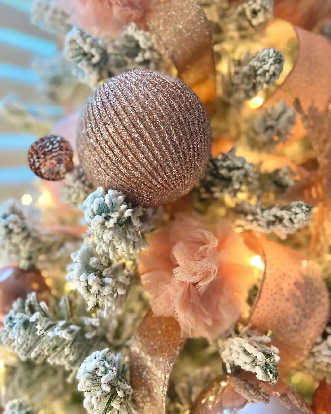 Gallery 3 — Gather & Glow