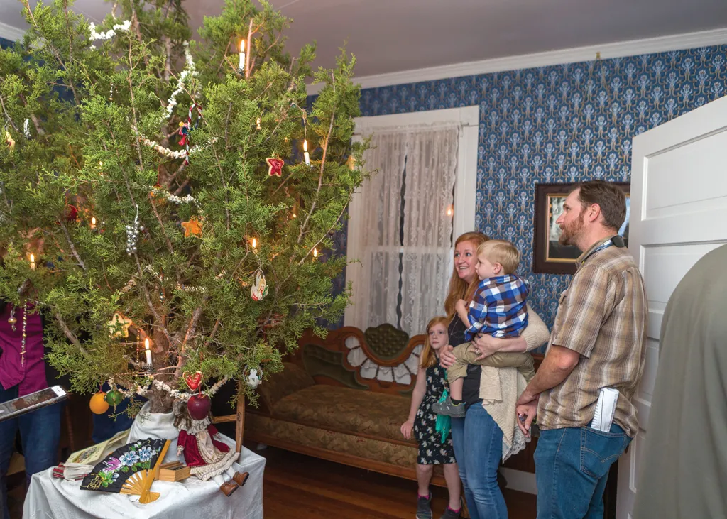 Green Christmas: Choosing a living or cut tree - 101 Highland Lakes
