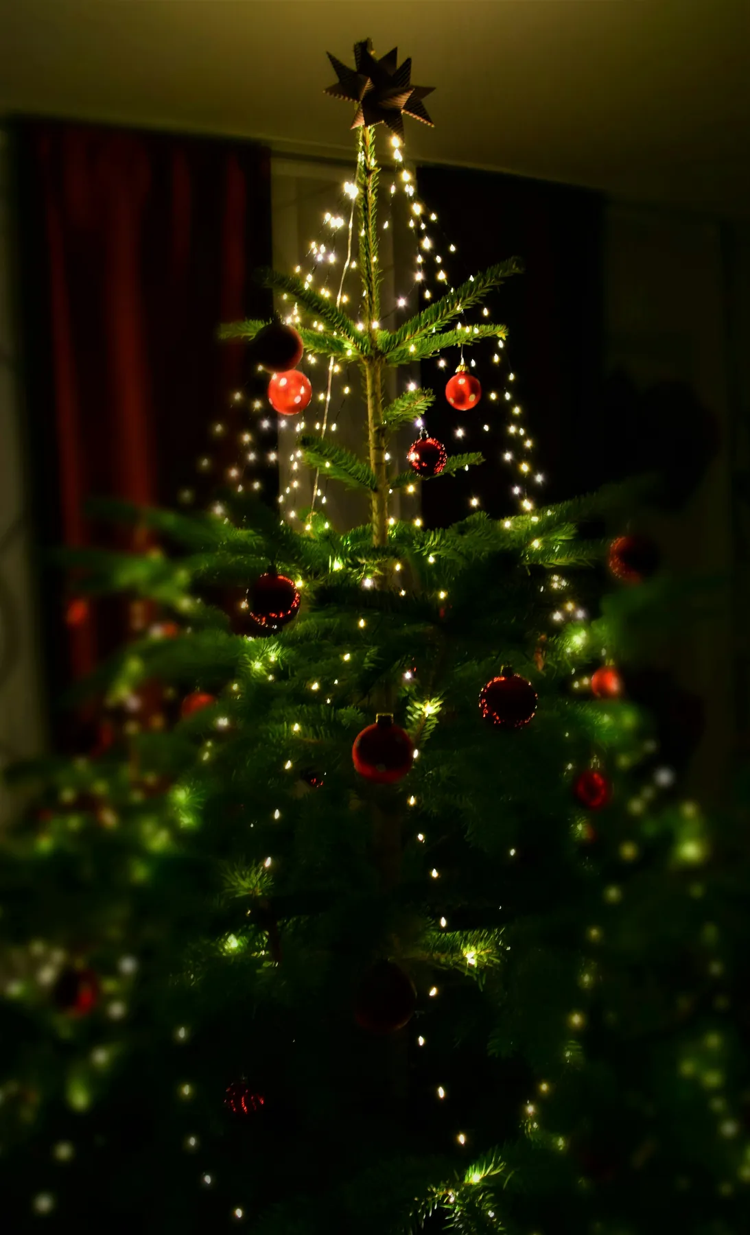 Green christmas tree with red baubles - Free Photo on Unsplash