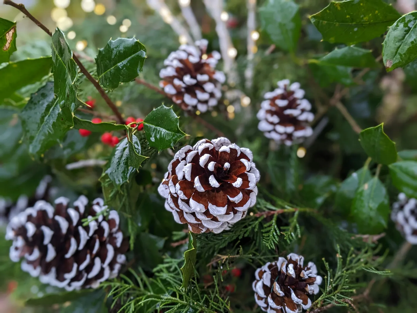 Holiday Archives - South Lumina Style