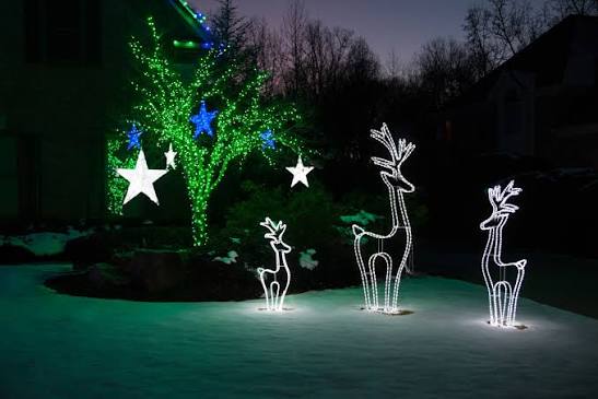 Holiday Lights - Yard Envy