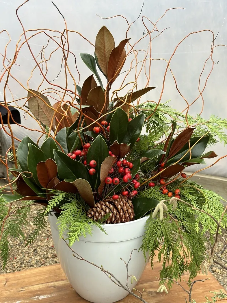 Holiday Porch Pot Kits - Plant Life Designs