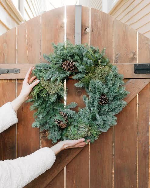 Holiday Wreath - Shelmerdine Garden Center