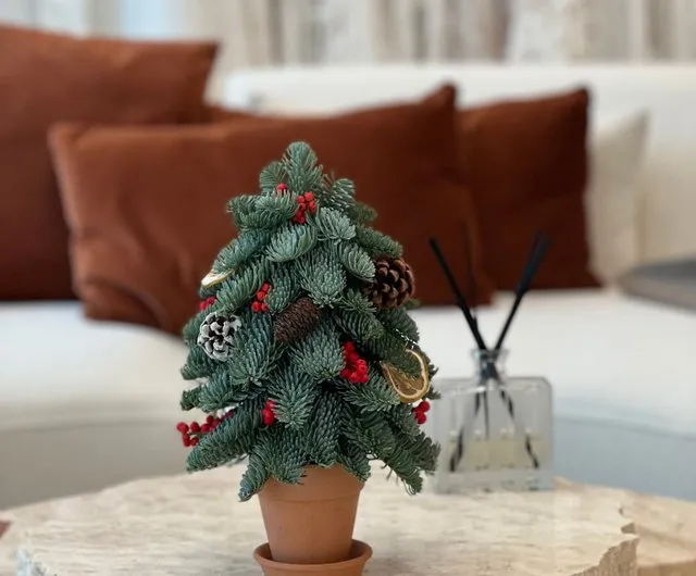 Hong Kong Handmade Fresh Noble Fir Christmas Tree Houseplant Fanatic -  Pinkoi