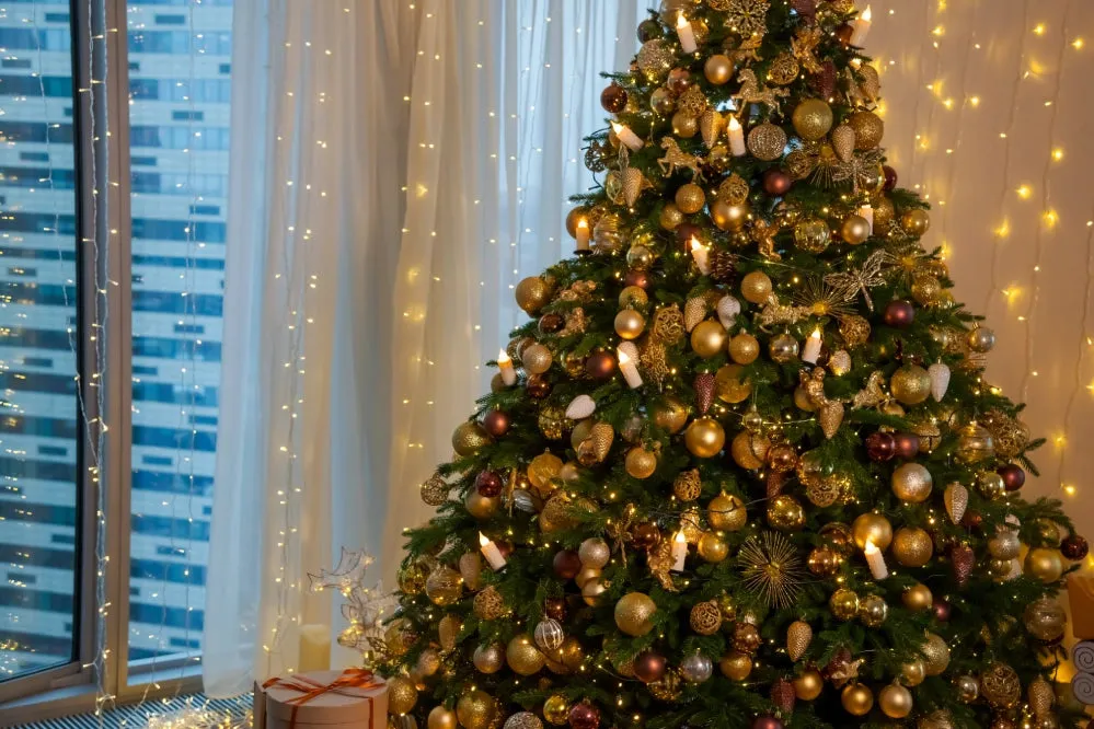 How to Hang Christmas Lights Around the Home and Outside – Ollny