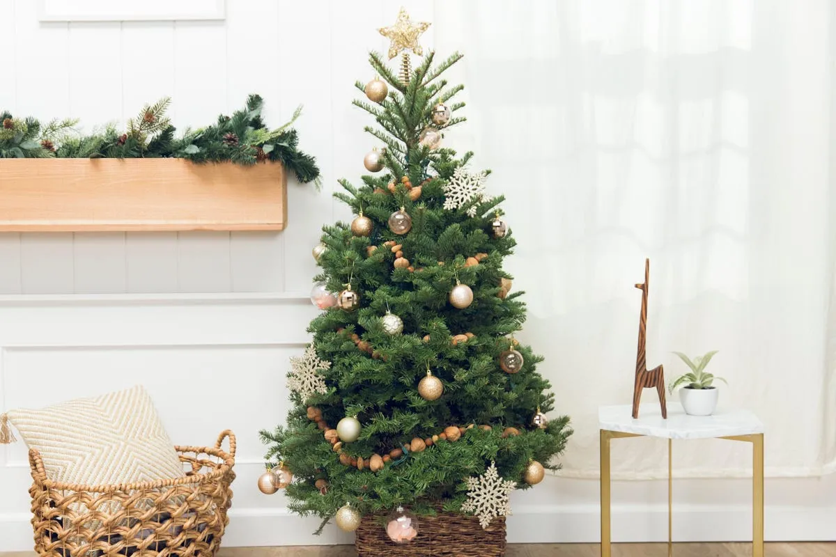 How to Make a Christmas Tree Garland With Nuts