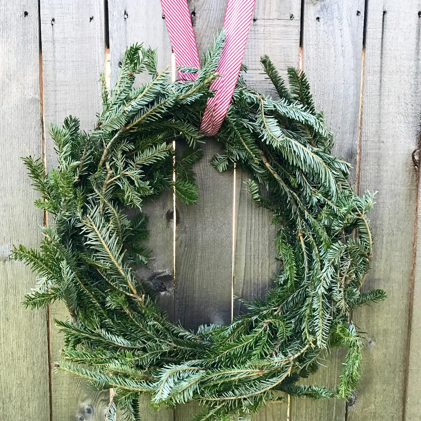how to make a wreath in half an hour (for free!)