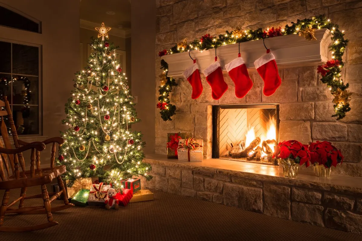 How to reuse your real Christmas tree with huge garden benefits - The Mirror