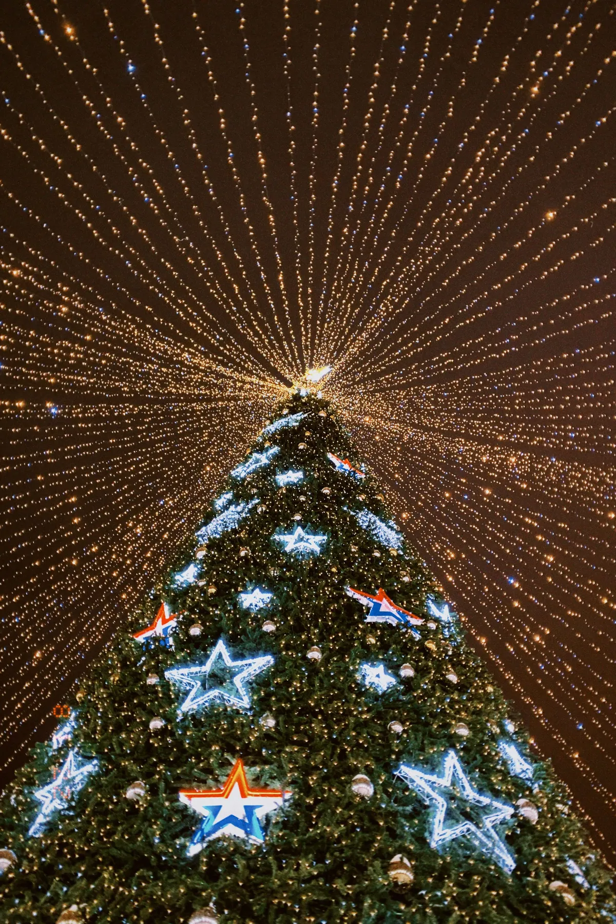 Illuminated Christmas tree with star ornaments against a night sky backdrop.