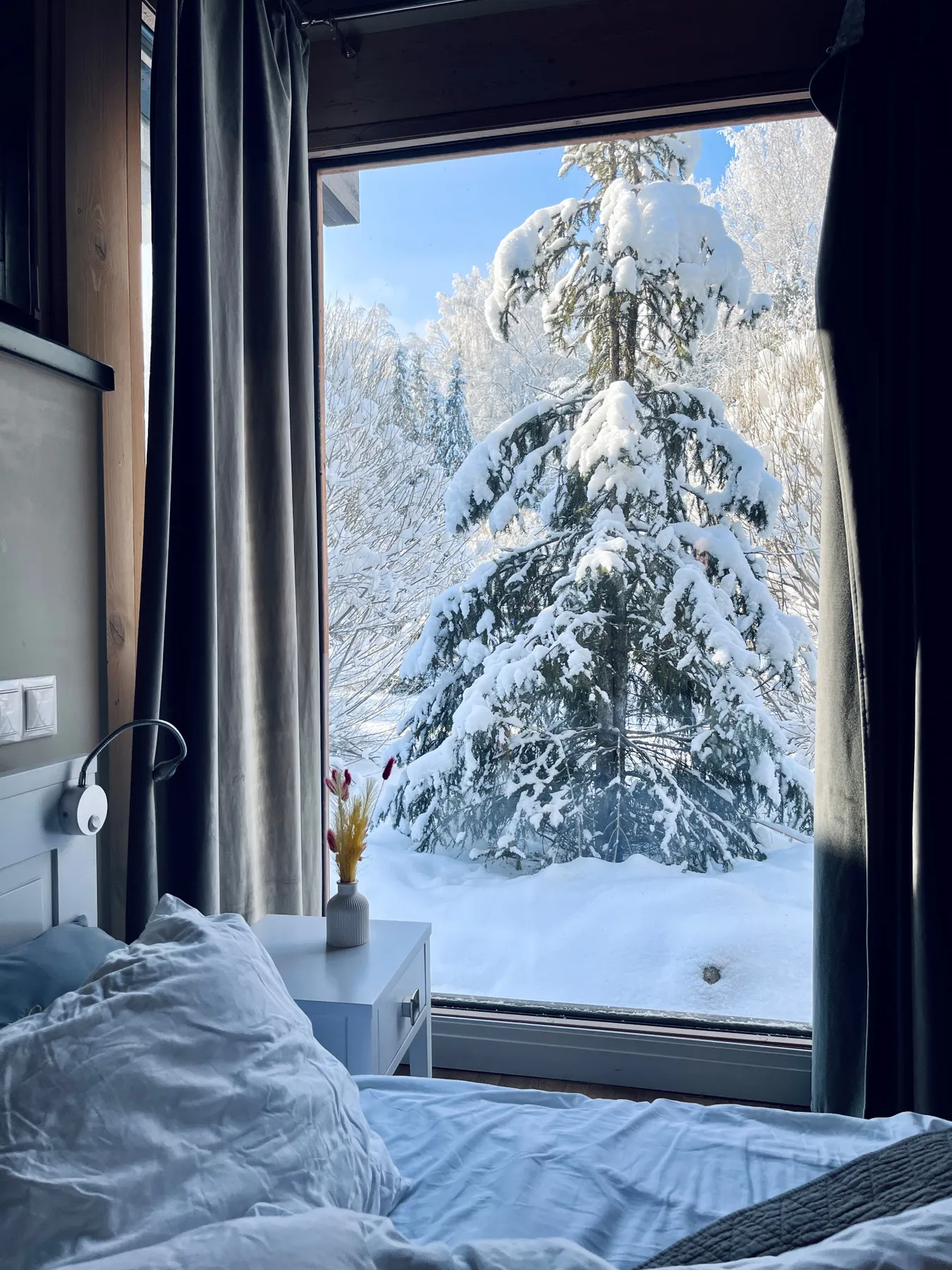 Inviting bedroom view with snow-covered pine tree, creating a serene winter ambiance.