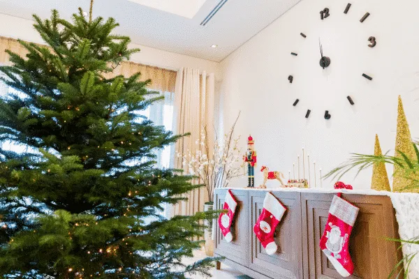 Keep Your Christmas Tree Fresh - Brown Thumb Mama®