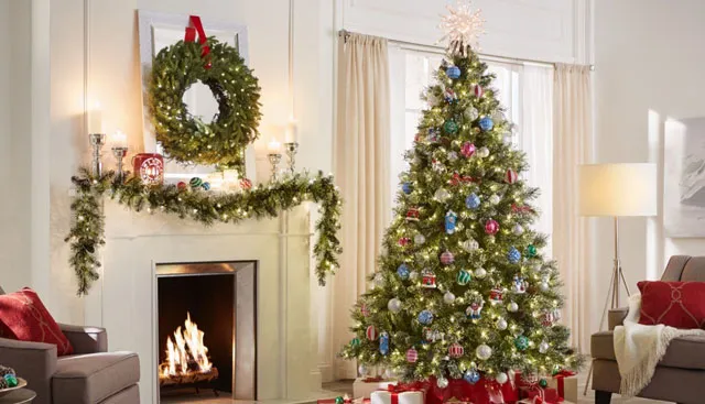 Looking after your Christmas tree – The NEN – North Edinburgh News