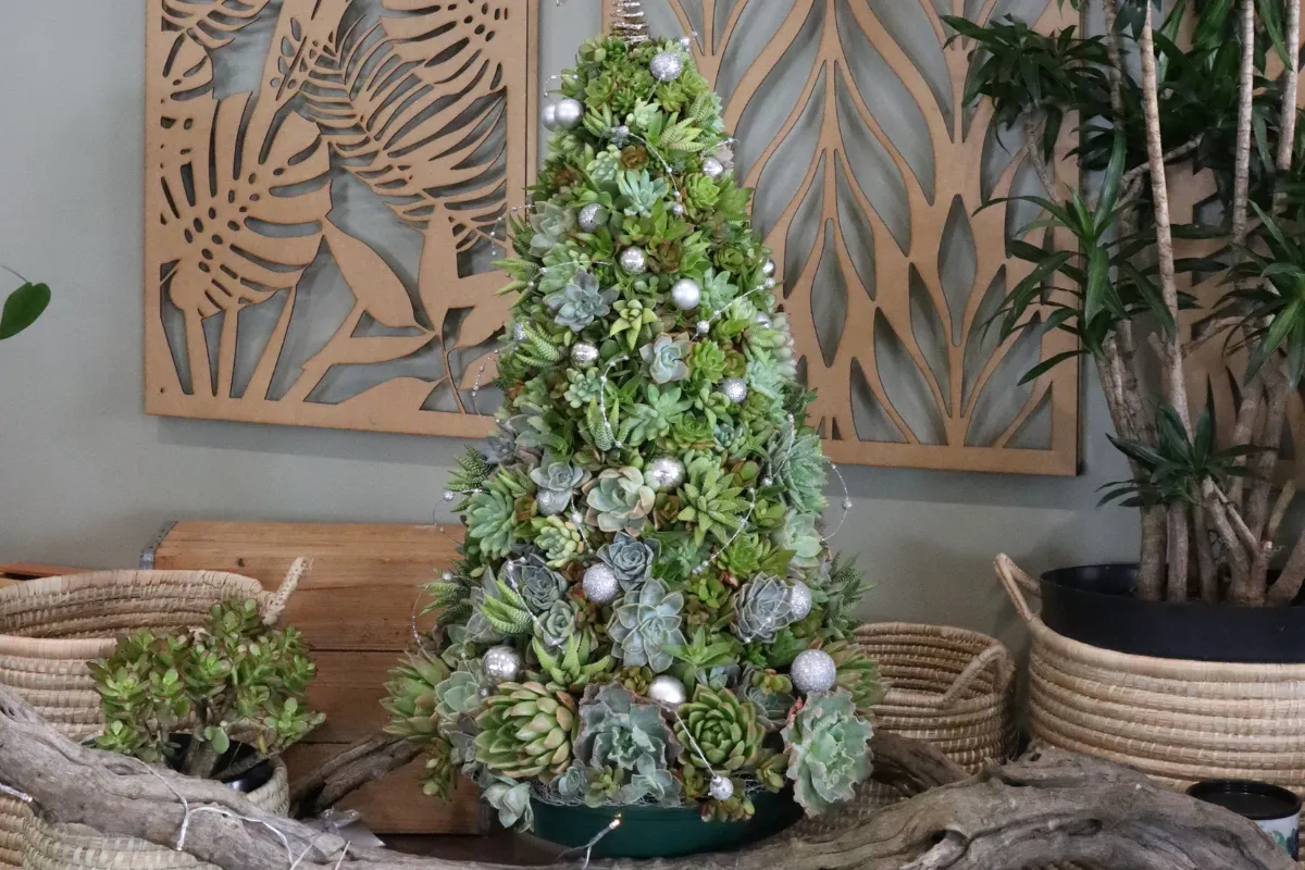 Make A Succulent Christmas Tree - The Gardener : The Gardener