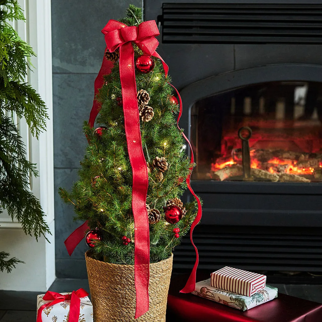 Make Your Holidays Evergreen: Why a Live Christmas Tree from Lynch Cre –  Lynch Creek Farm